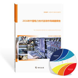 2016年中國電力技術(shù)咨詢市場(chǎng)調(diào)查報(bào)告